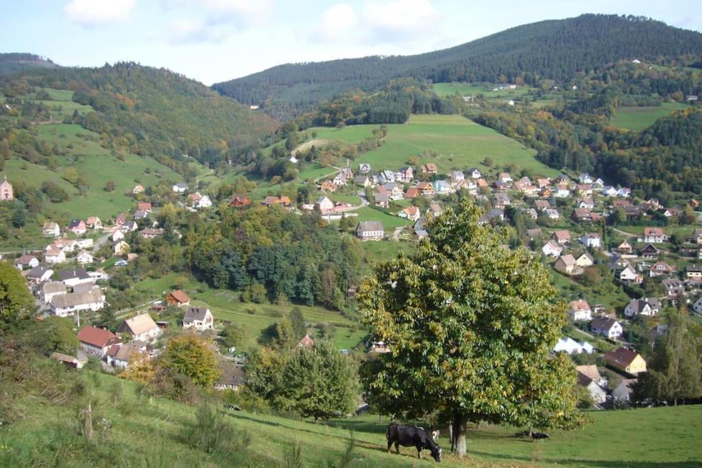 Yourte Des Verts Bois Fréland Eksteriør bilde